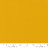 Bella Solids Saffron